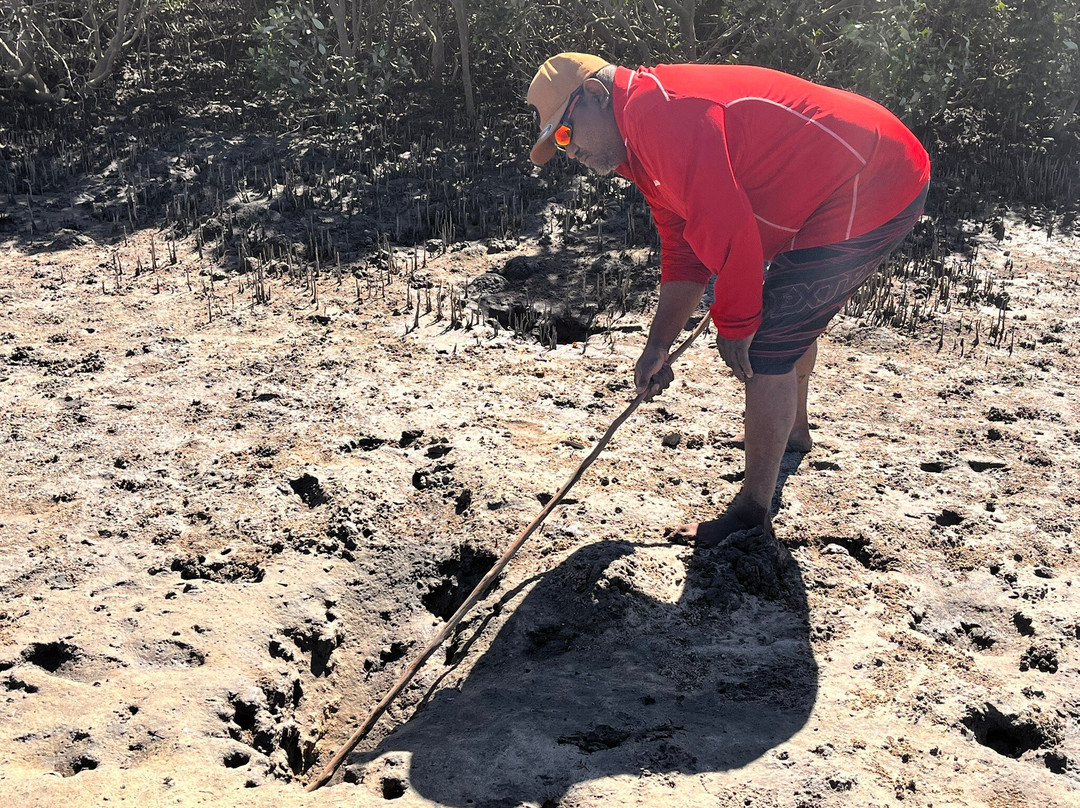 Southern Cross Cultural Tours at Lullumb-Dampier Peninsula必去景点