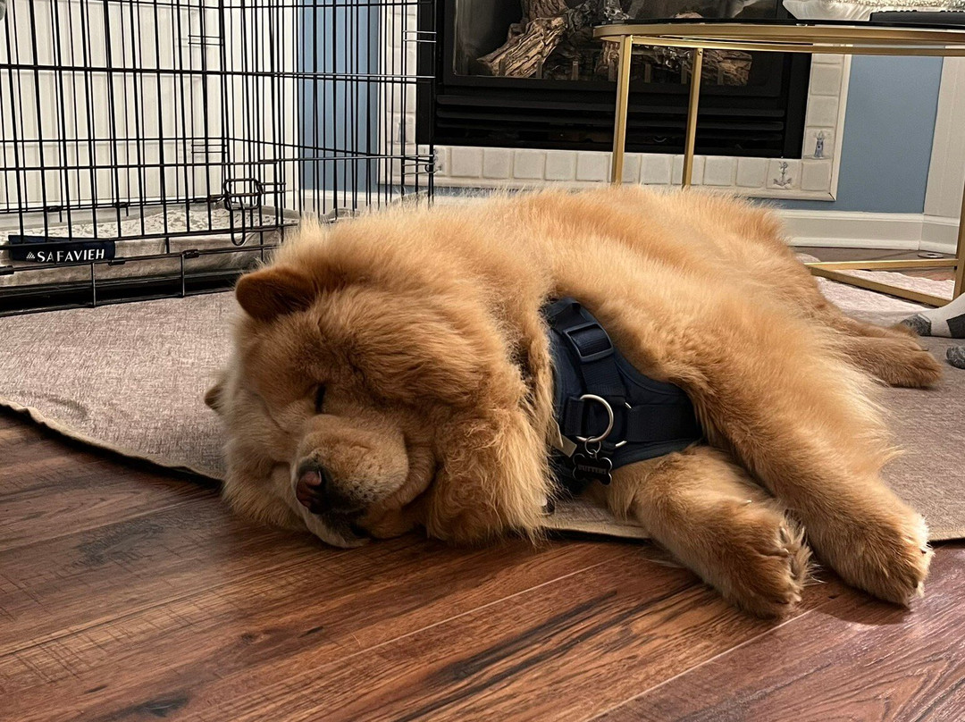 Garden Grove Inn: Bed & Breakfast主图