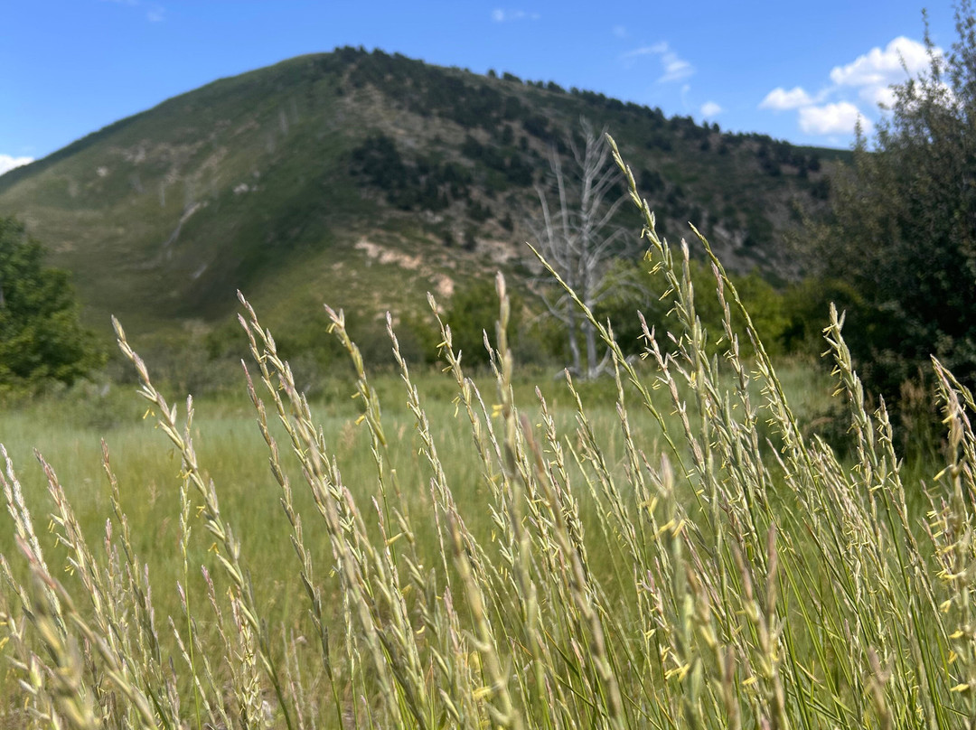 Cascade Falls-Duck Creek Village必去景点