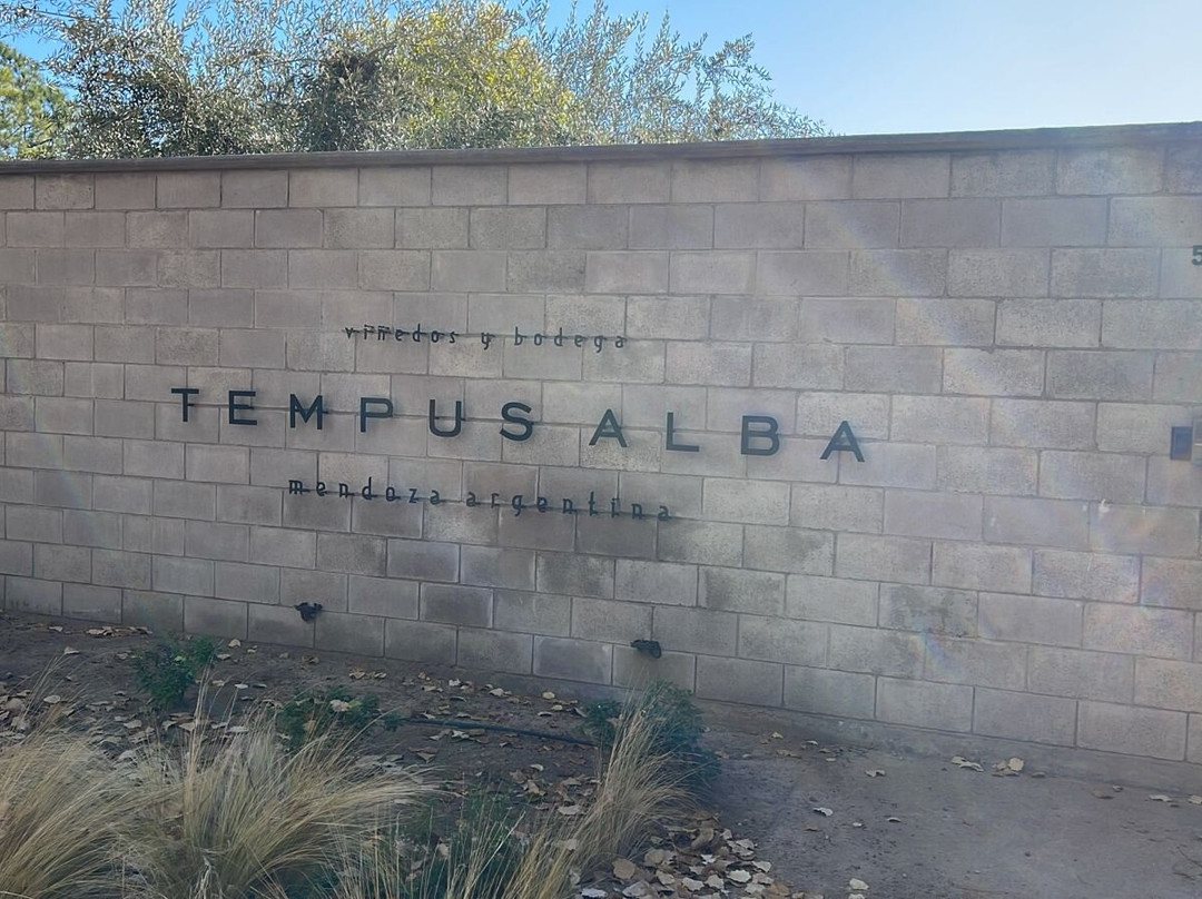 Tempus Alba-Maipu必去景点