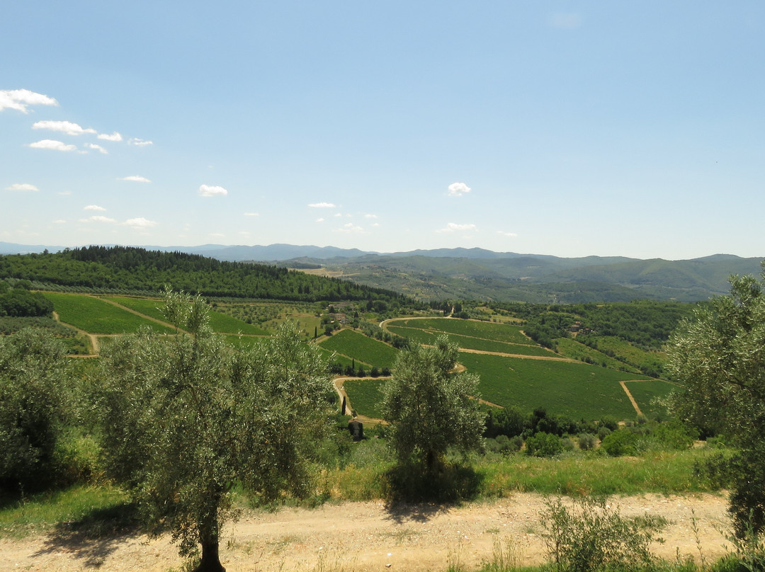Castello Nipozzano-Pelago必去景点