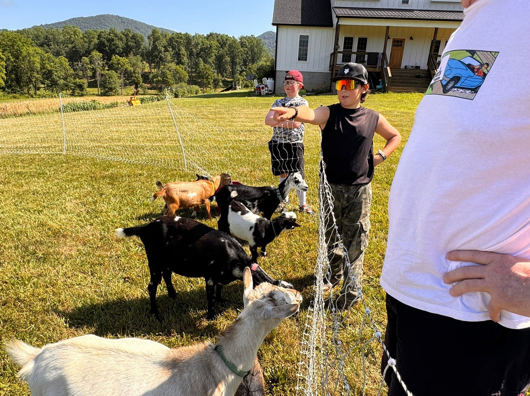 Asheville Wellness Tours-阿什维尔必去景点