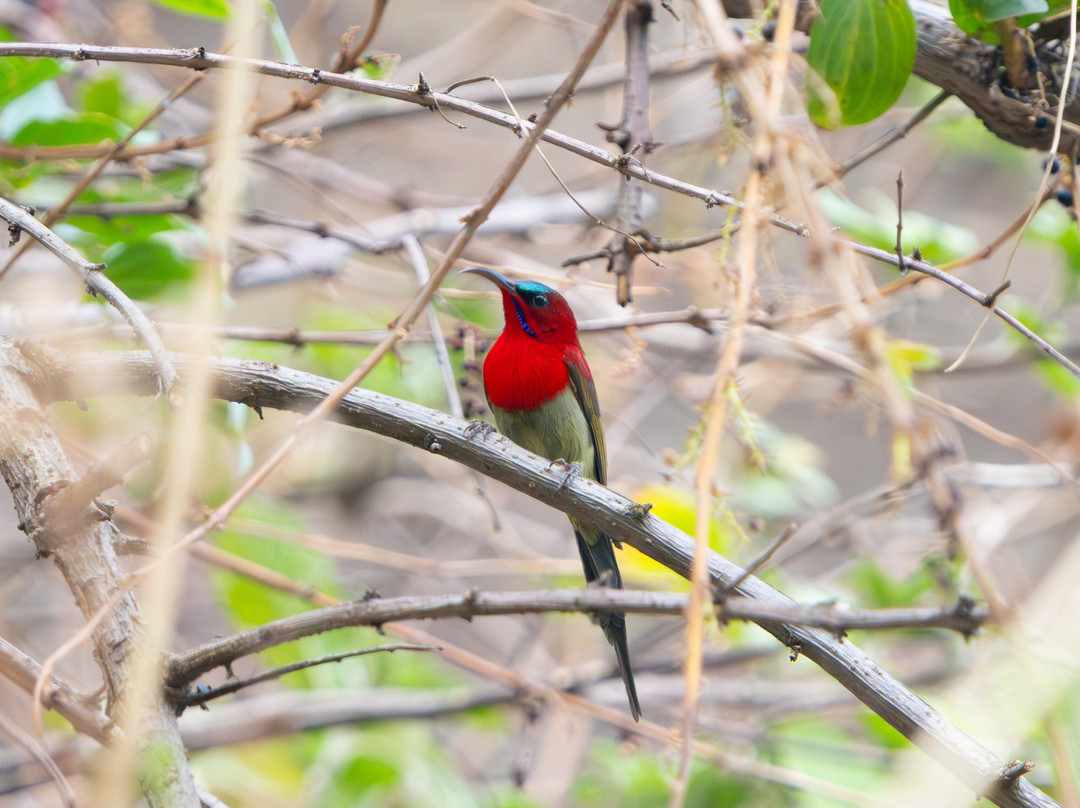 Asian Adventures-诺伊达必去景点