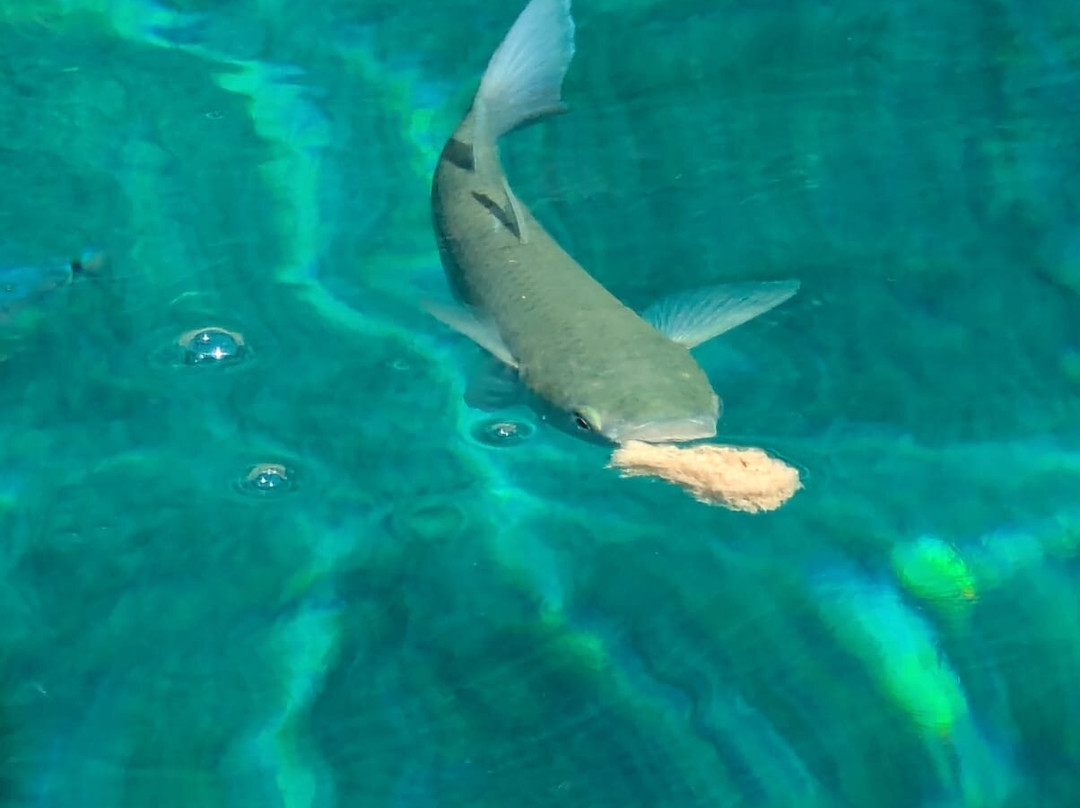 Filoxenia Hotel & Apartments主图