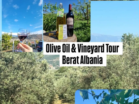 Olive Oil & Vineyard Tour Berat-培拉特必去景点