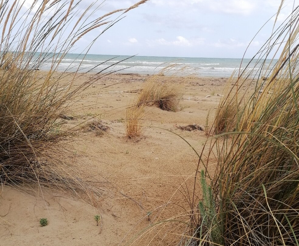 Spiaggia di Punta Penna-瓦斯托必去景点