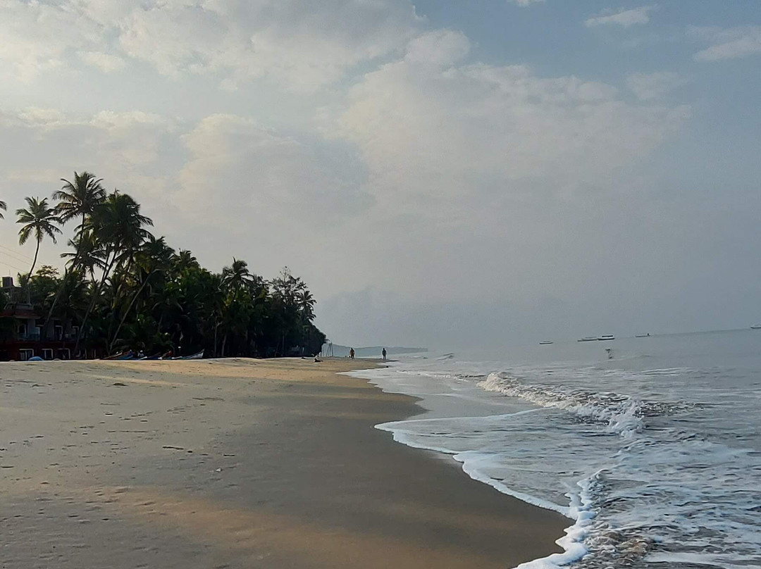 The Windmill Resorts主图