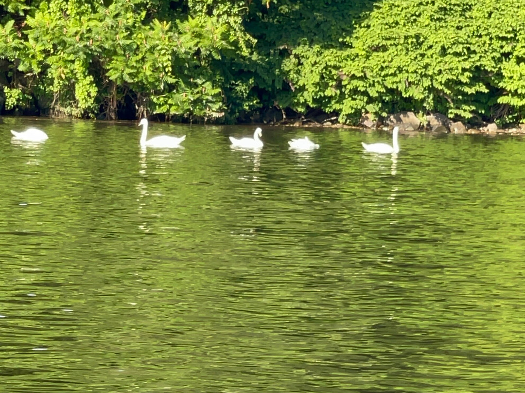 Connecticut Watersports-New Milford必去景点