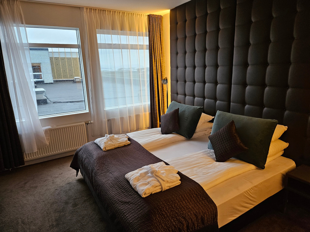 斯蒂基斯霍尔姆酒店主图