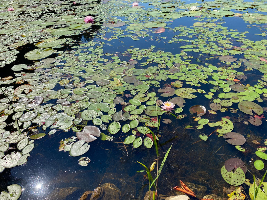 Isha USA-McMinnville必去景点