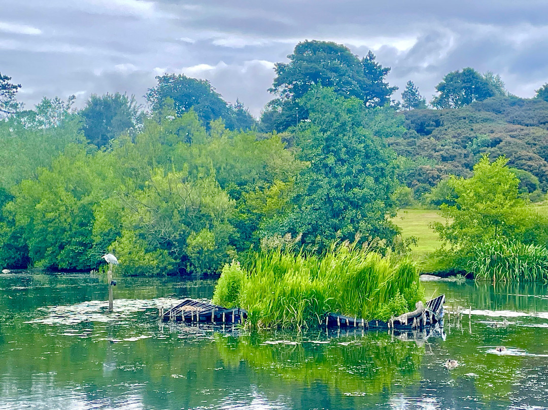 Keptie Pond-Arbroath必去景点