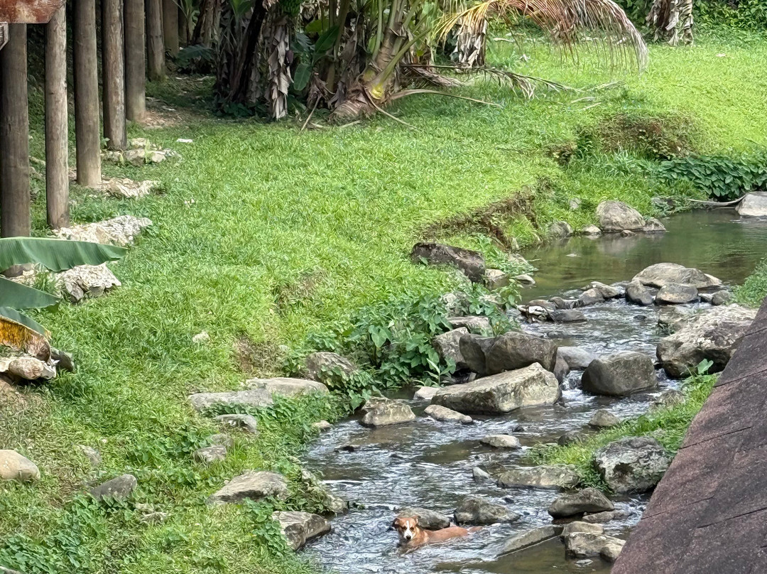 Guavate-Cayey必去景点