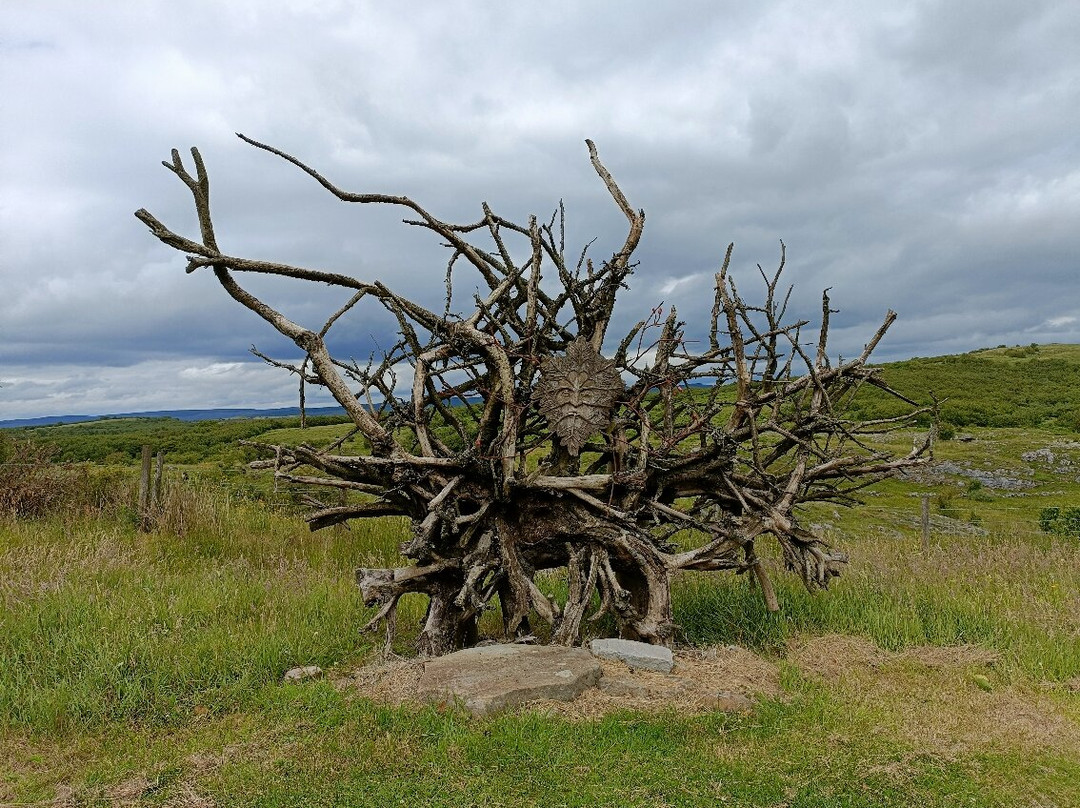 Killykeeghan Nature Reserve-Florencecourt必去景点