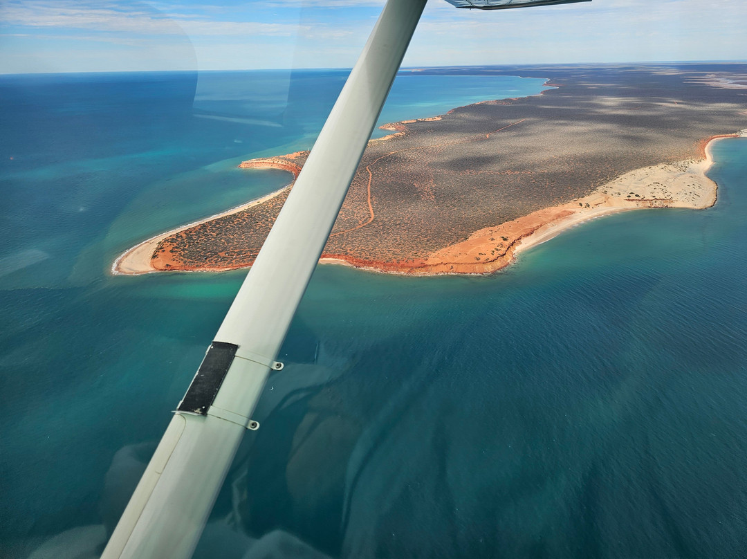 Shark Bay Aviation-德纳姆必去景点
