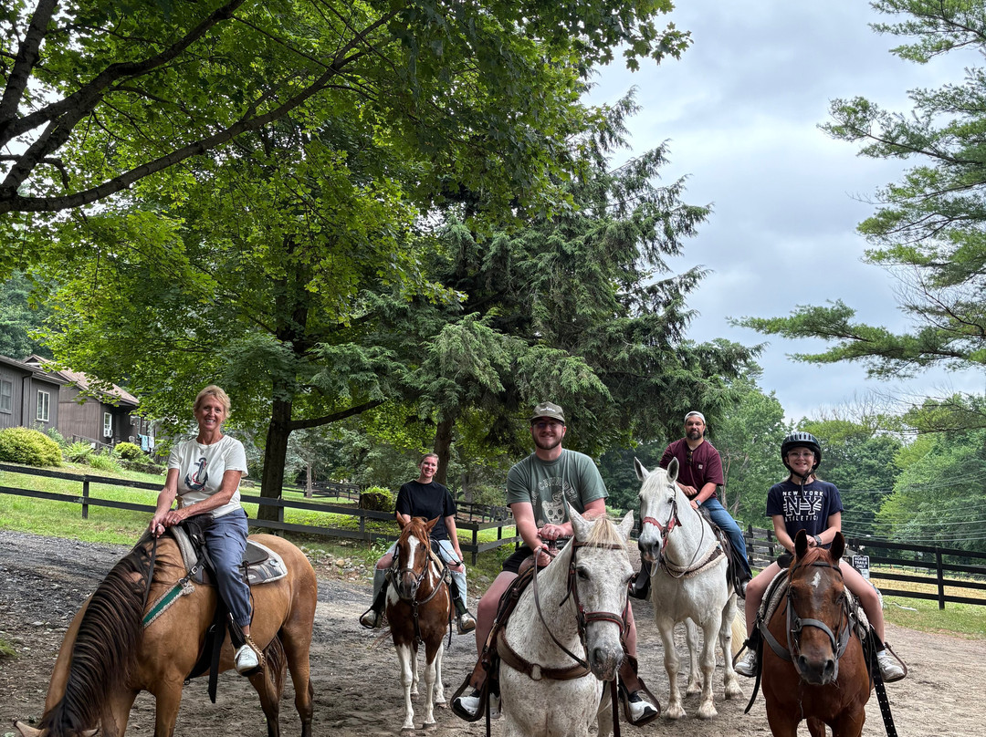 Saddle Up Stables-乔治湖必去景点