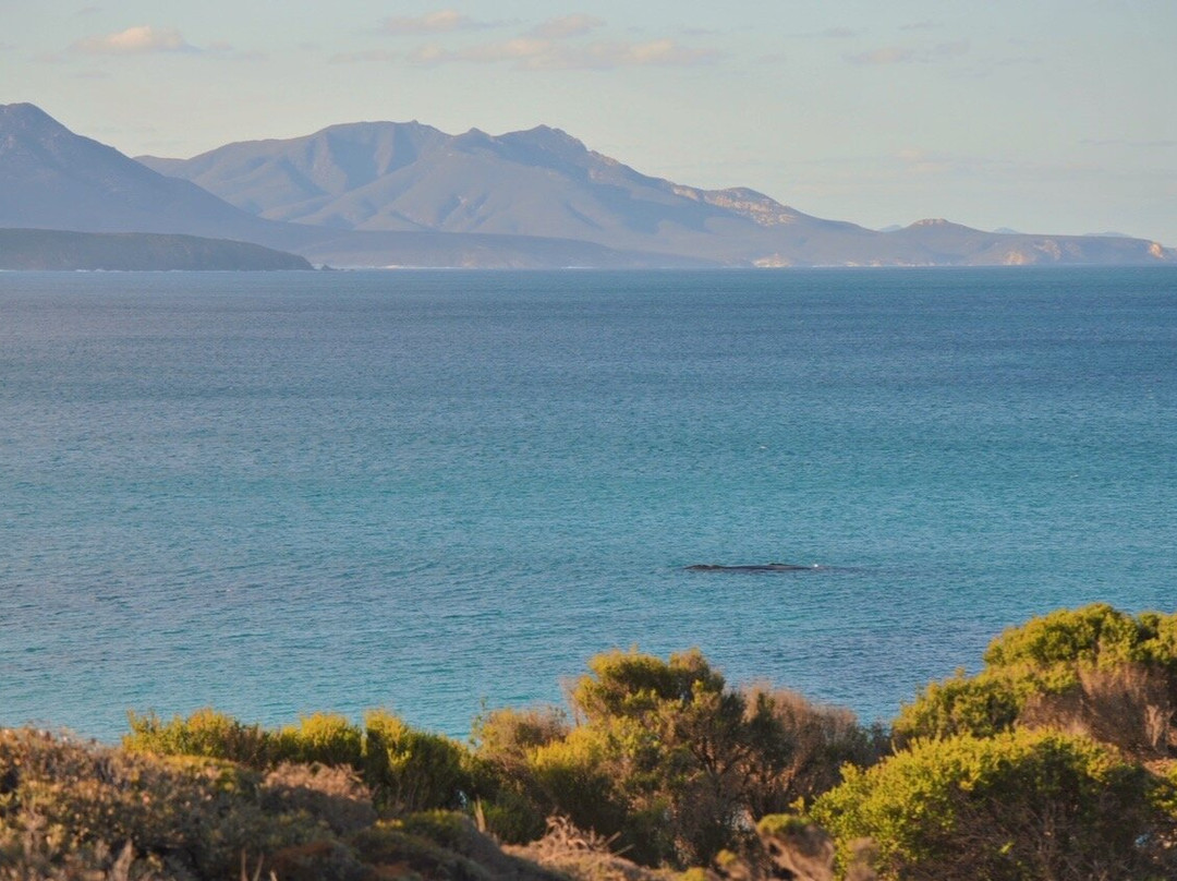 Point Ann-Bremer Bay必去景点