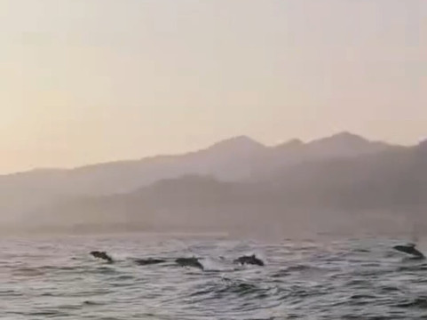 Antonio - Escursioni in Barca-Giardini Naxos必去景点