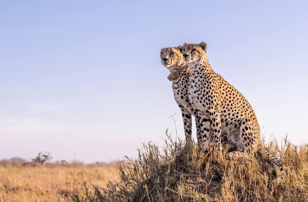 Totti Kenya-安博塞利国家公园必去景点