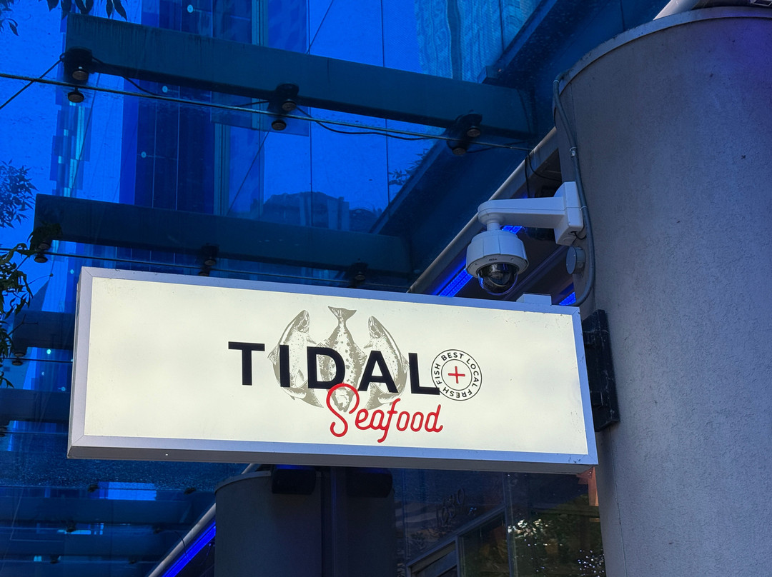 Tidal+主图