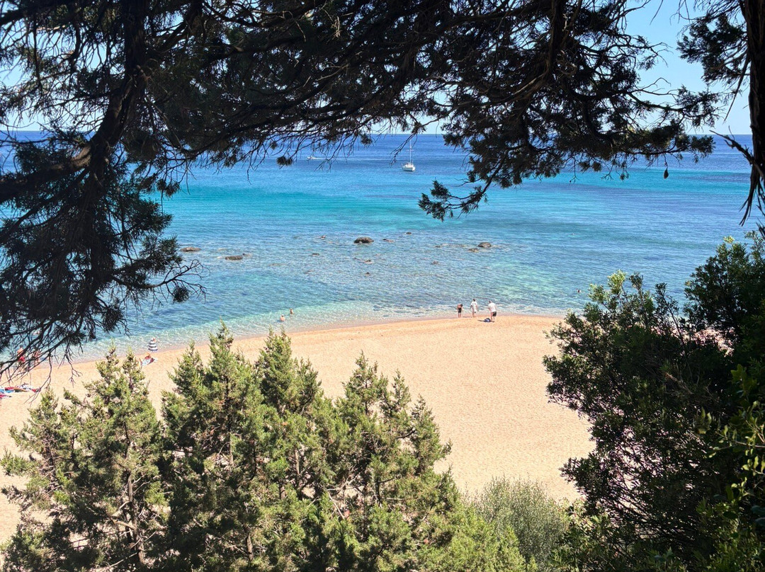 Spiaggia di Sos Dorroles-Cala Gonone必去景点