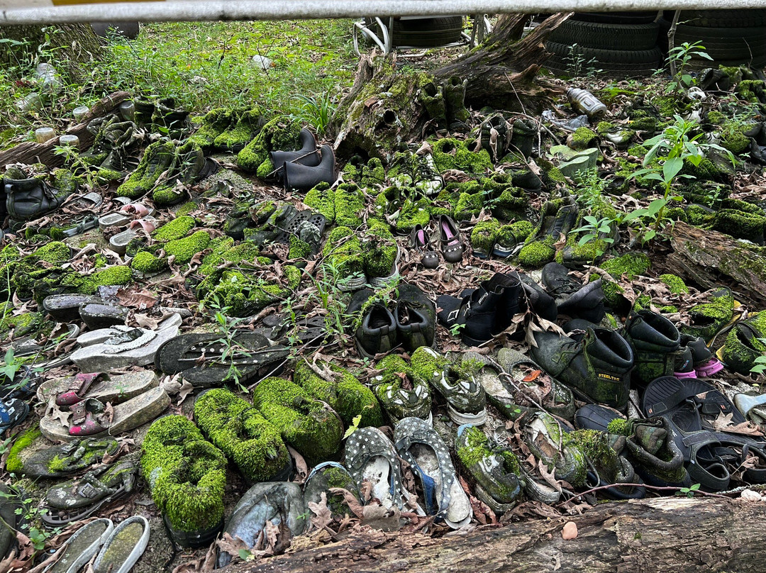 Apple Valley Hillbilly Garden and Toyland-Calvert City必去景点