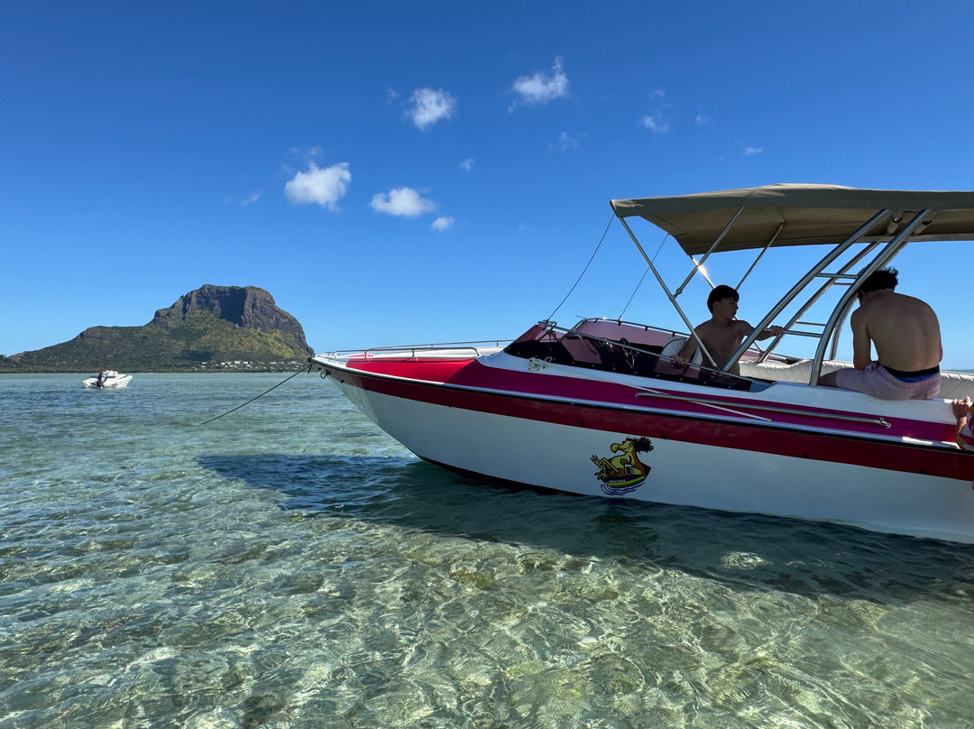 Fabulous View - Dodo Rasta-阿尔比恩必去景点