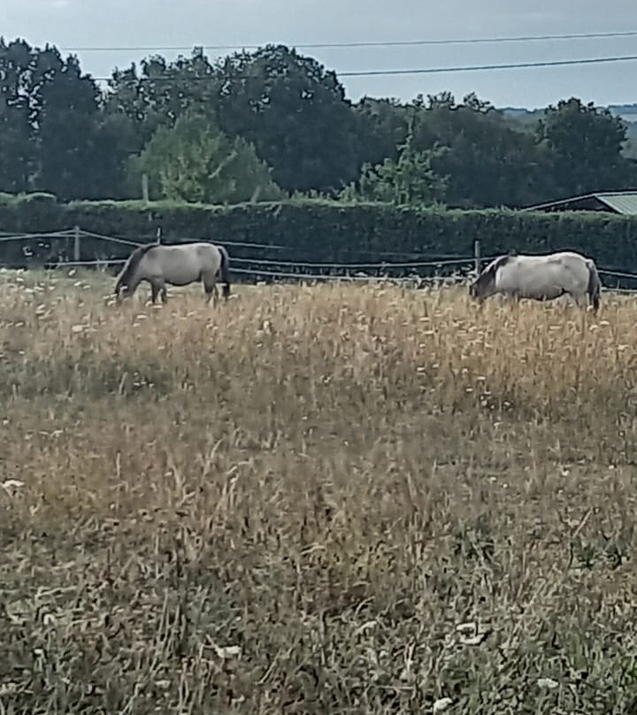 Le Parc Du Thot-Thonac必去景点
