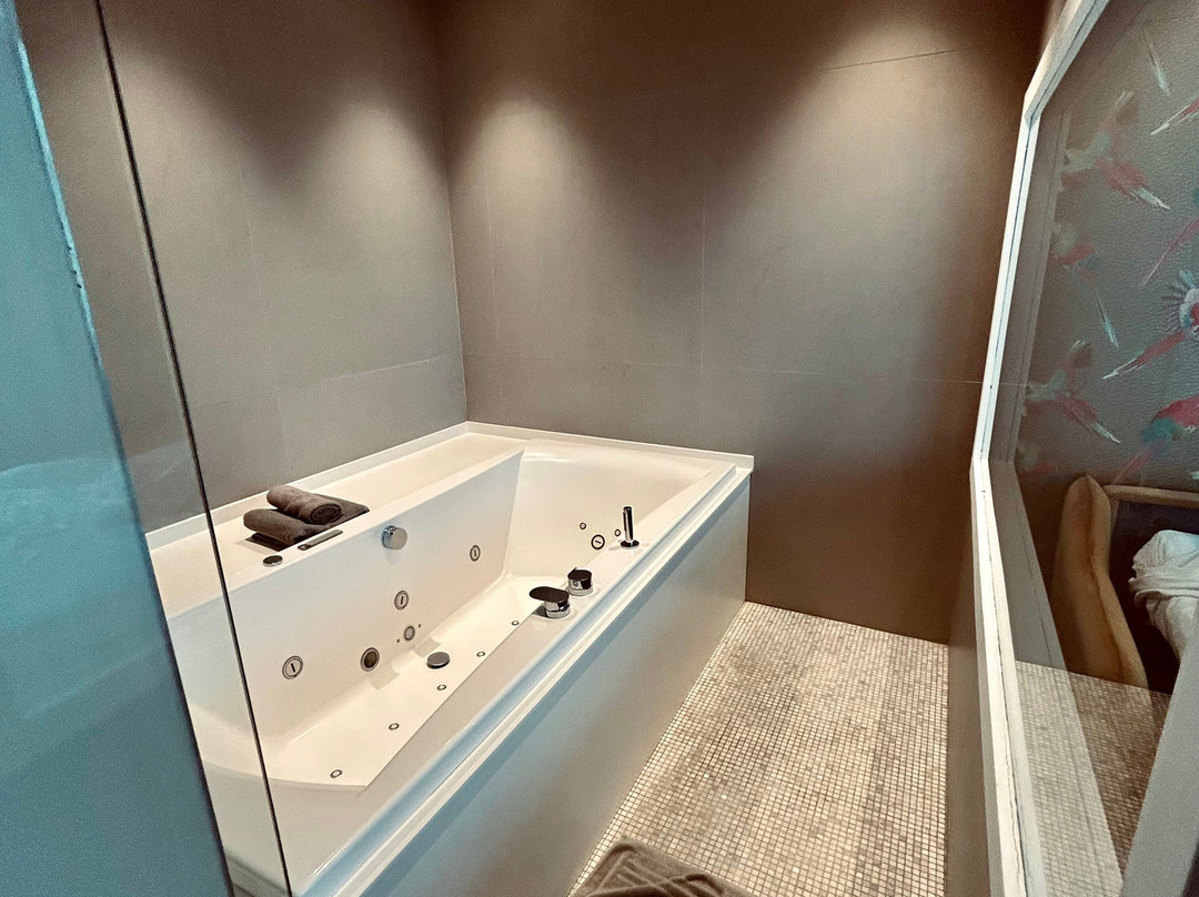 Hotel L'Arbre Voyageur ****主图