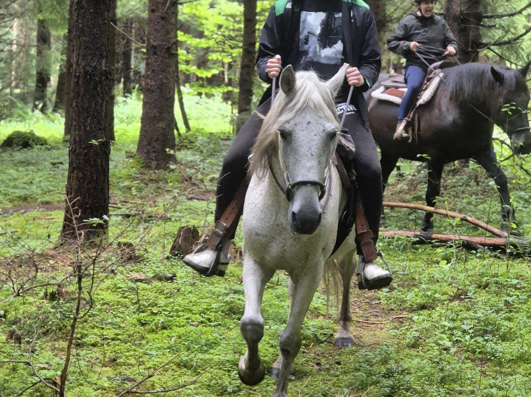 Fearless Horsemanship-Gotzens必去景点