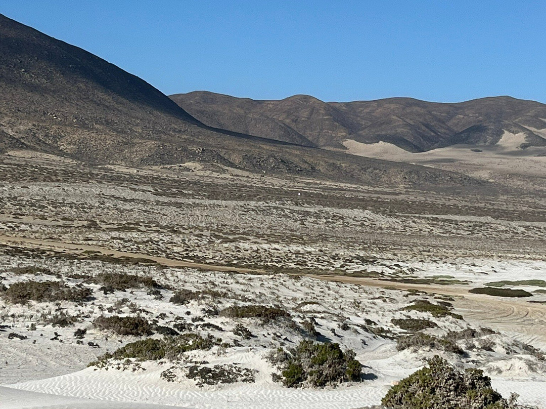 Olivos Centenarios-Huasco必去景点