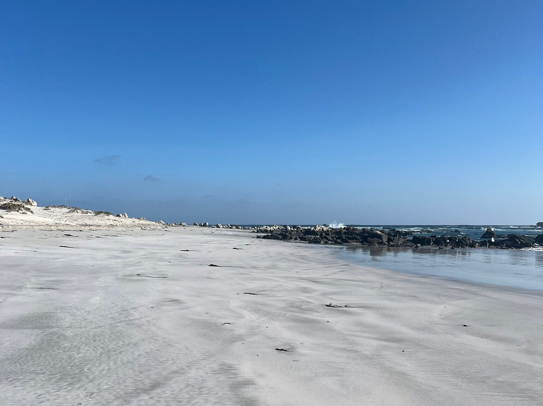 Olivos Centenarios-Huasco必去景点