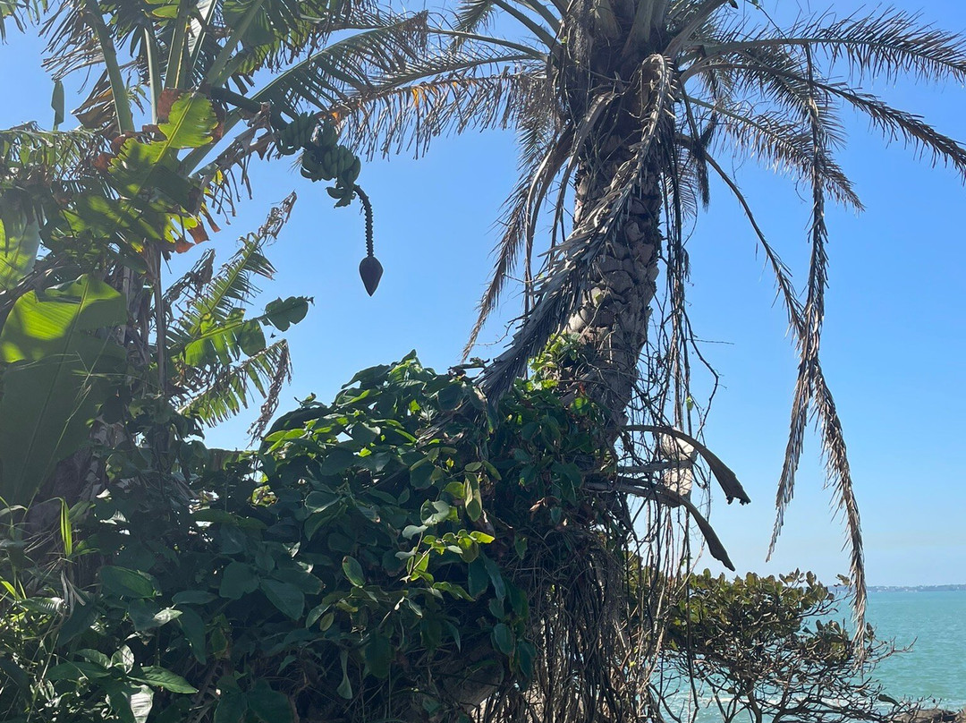 Praia Costa Azul-Iriri必去景点