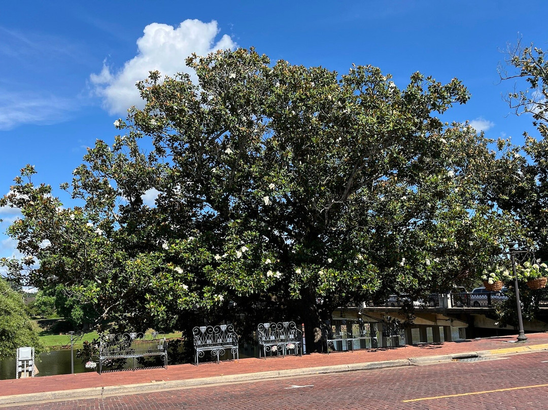 Historic District Shopping-纳基托什县必去景点