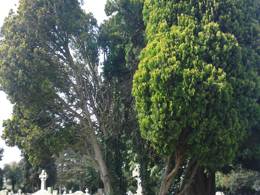 Wolvercote Cemetery-牛津必去景点