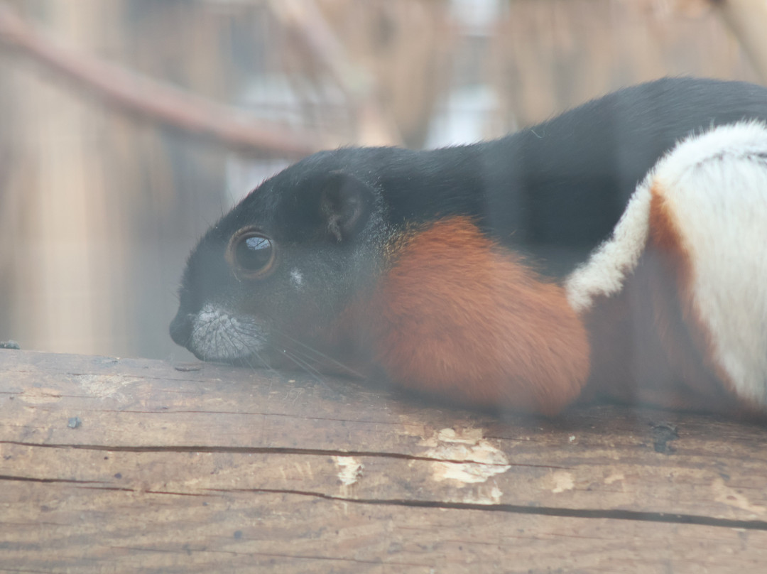 Butterfly World & Farm Park-Wanborough必去景点