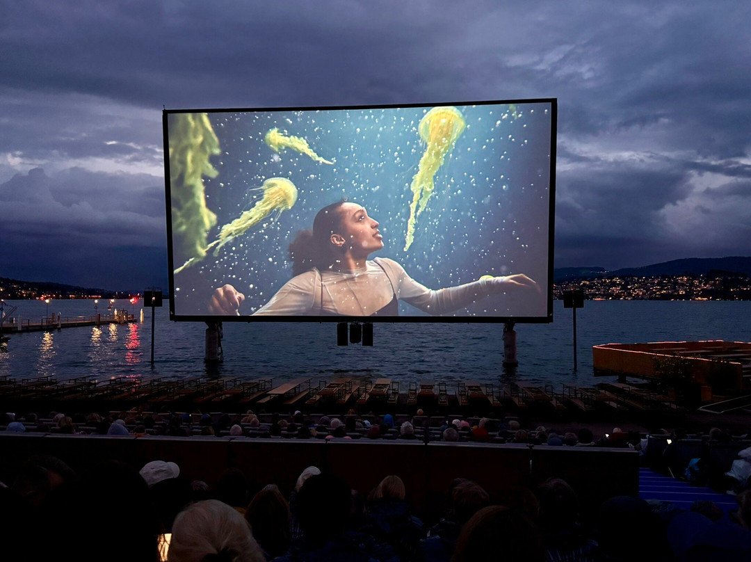 Parkanlage Zuerihorn-苏黎世必去景点