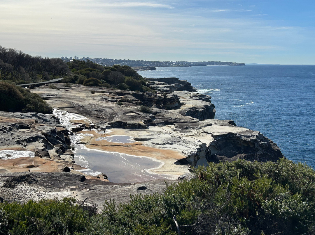 Malabar Headland National Park-Malabar必去景点