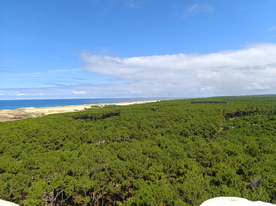 Phare de Contis-Saint-Julien-en-Born必去景点