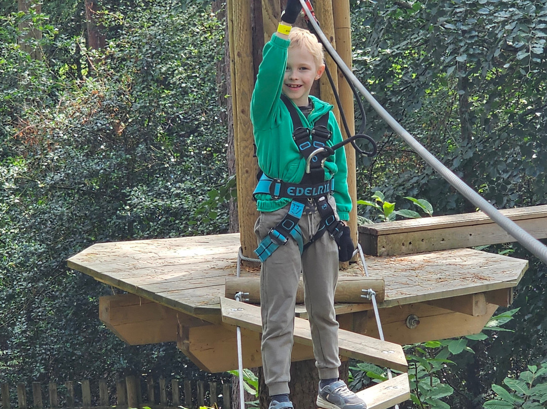 Go Ape Alice Holt-法纳姆必去景点