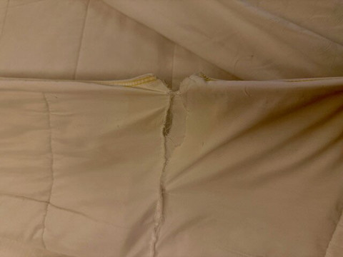 加州迪士尼大酒店主图