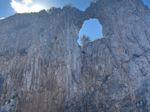 Tour In Barca Da Alessandro-Palinuro必去景点