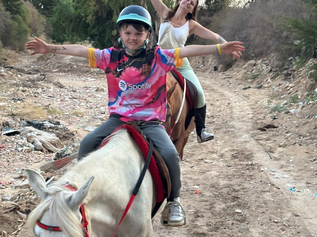 Club Equus Hammamet-哈玛麦德必去景点