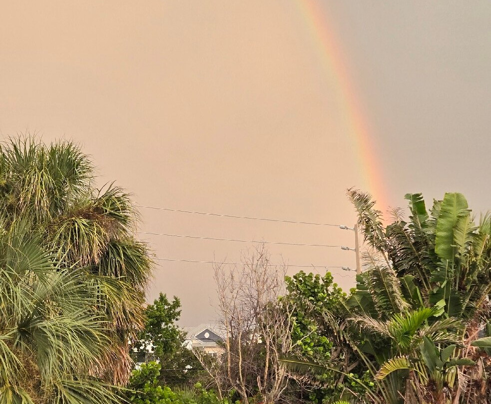 Indian Rocks Beach Nature Preserve-Indian Rocks Beach必去景点