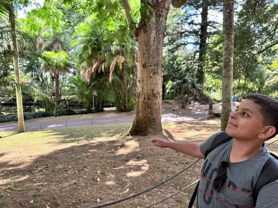 Jose do Canto Botanical Garden-蓬塔德尔加达必去景点