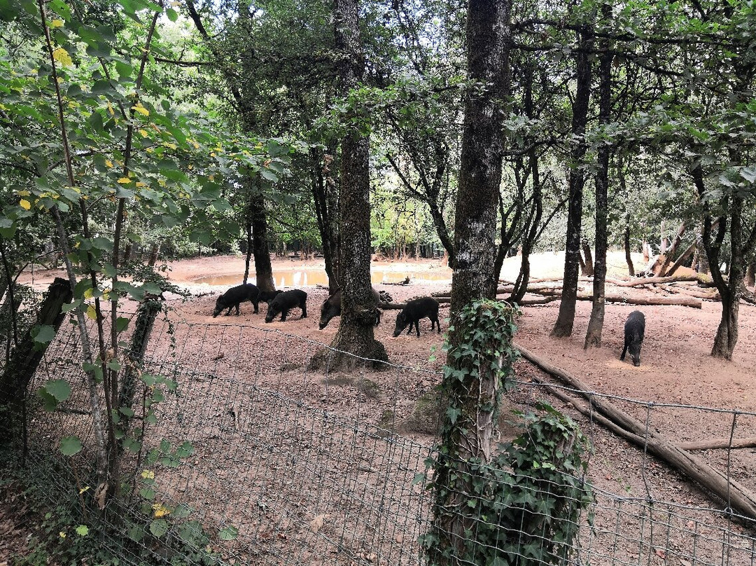 Les Sangliers de Mortemart-Le Bugue必去景点