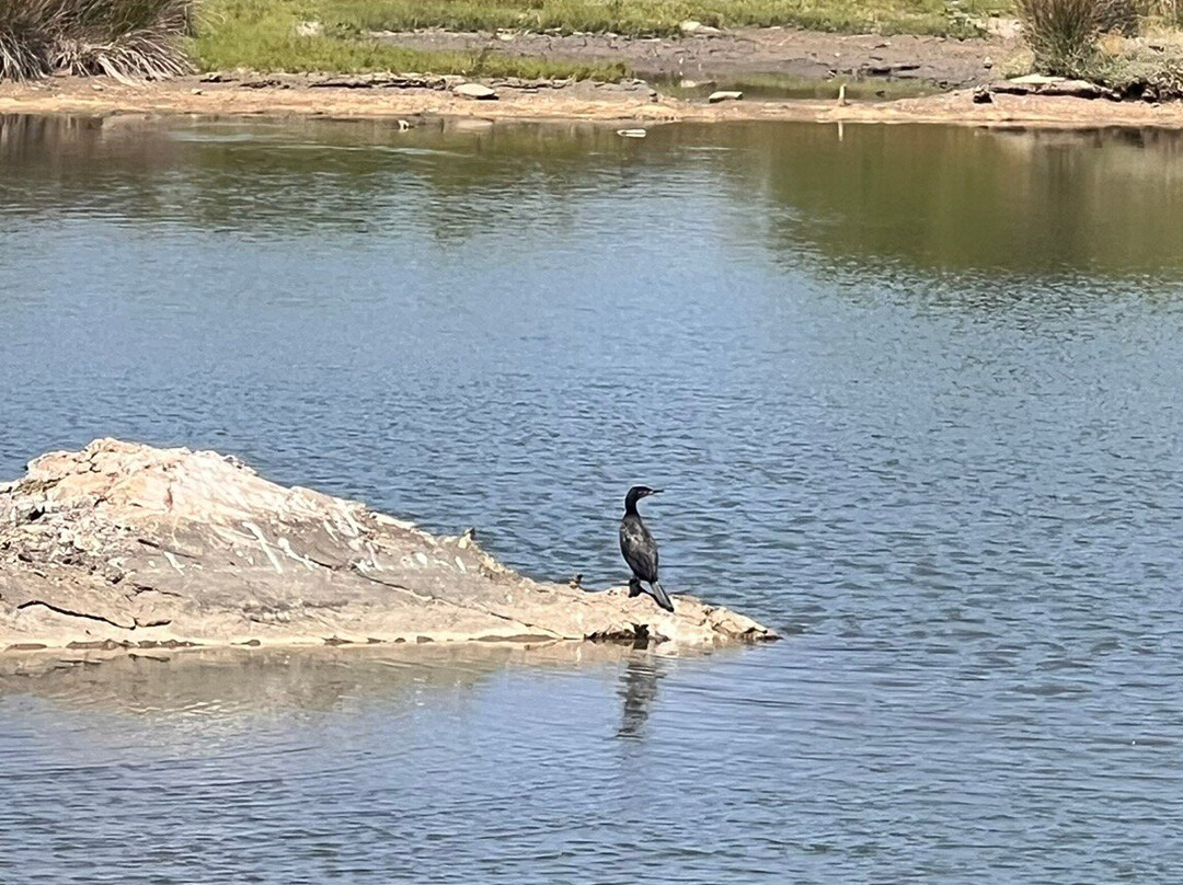 Parc Ecologique Izadia-Anglet必去景点