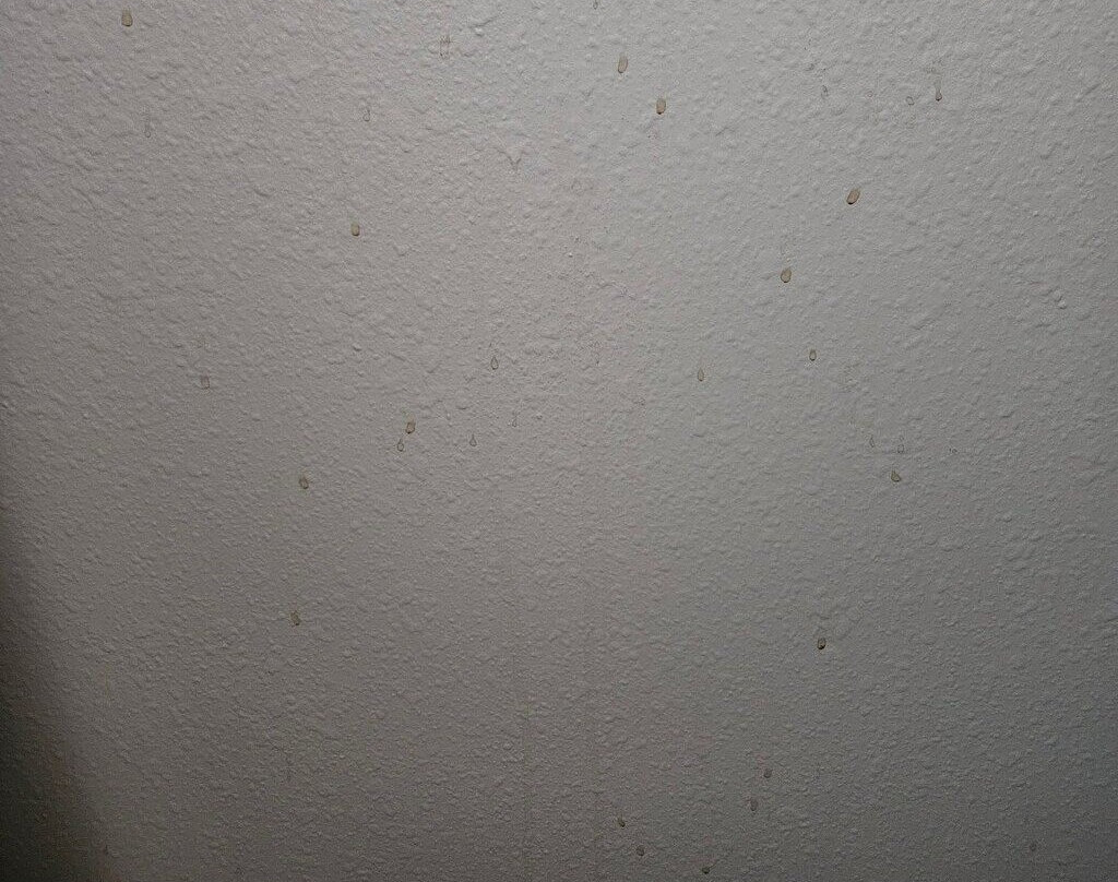 Best Western Plus Hudson I-94主图