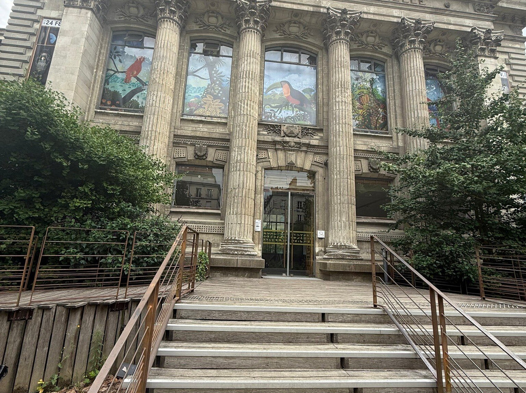 Muséum de Nantes-南特必去景点