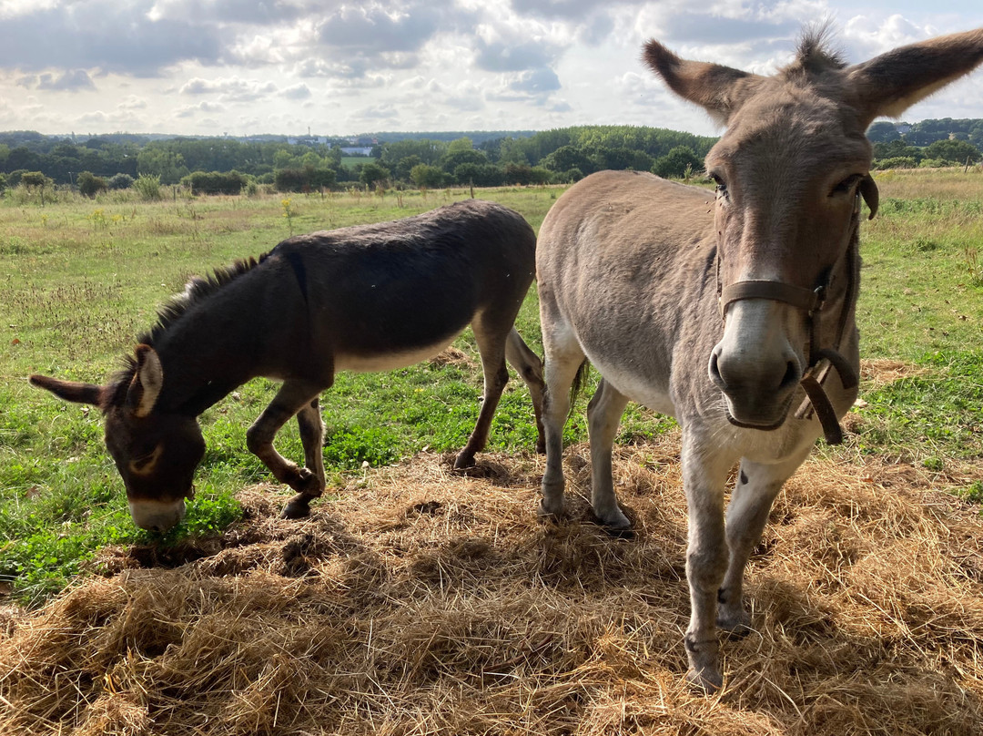 Manoir de la Villeneuve主图