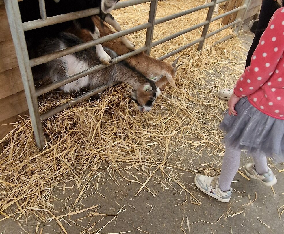 Willhome Farm Barn-Camrose必去景点